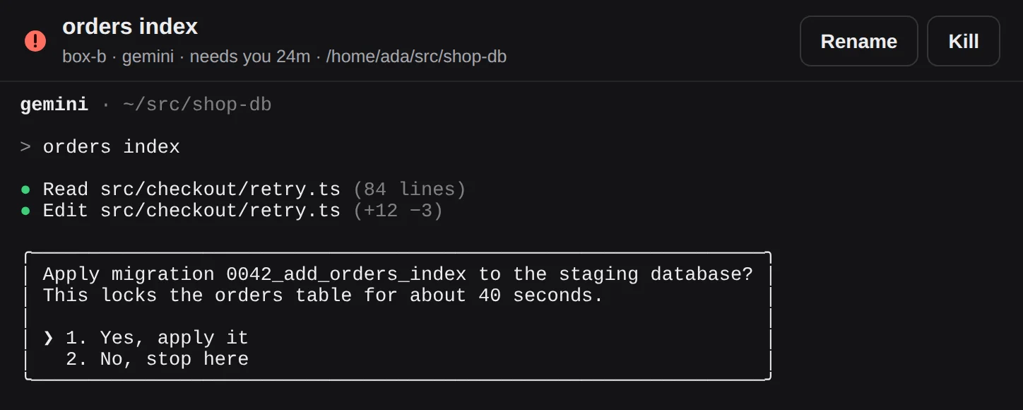 A terminal asking whether to apply a migration, with its two choices.